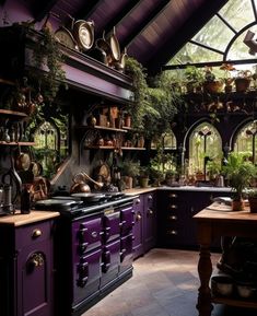 an old fashioned kitchen with purple cabinets and pots on the stove top, surrounded by potted plants