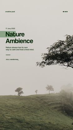 the cover of nature ambience magazine with trees in foggy field behind it