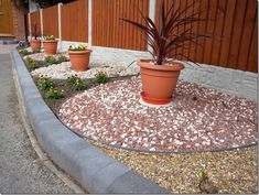 several potted plants in front of a wooden fence on the side of a road