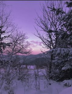 the sun is setting behind some trees in the snow