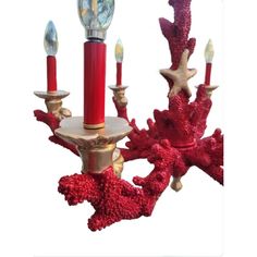 a chandelier made out of red corals and candles