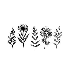 four different types of flowers are shown in black and white on a white background,