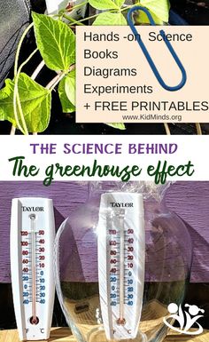 the science behind the greenhouse effect