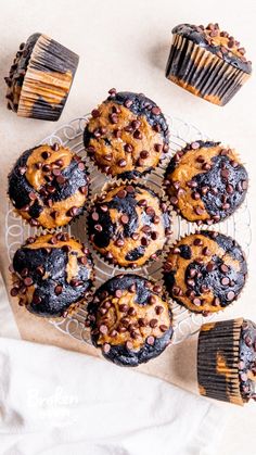 chocolate chip muffins with peanut butter and chocolate chips