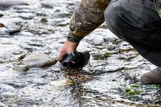 a man holding a water bottle while kneeling down in the river with rocks and grass