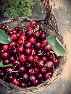 a basket filled with lots of cherries next to green leafy leaves on the ground