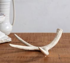 the antler is laying on the wooden table