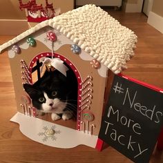 a black and white cat in a gingerbread house