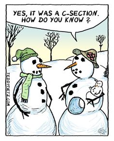 two snowmen standing next to each other with a speech bubble saying yes, it was a c - section how do you know?