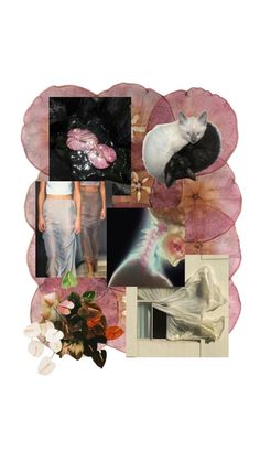 the collage has pictures of cats and flowers on it, including a woman's torso