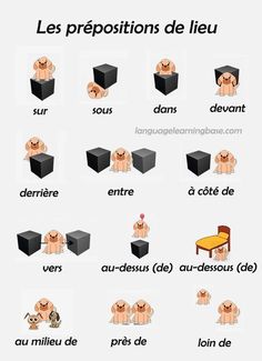 the french language poster shows different types of dogs