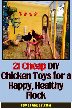 chicken toys for a happy, healthy flock are the perfect way to keep chickens cool