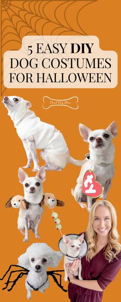 a woman standing in front of an orange background with dogs on it and the words 5 easy diy dog costumes for halloween