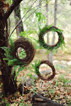 three wreaths hanging from a tree in the woods