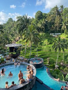 people are swimming in an outdoor pool surrounded by lush green fields and palm trees,