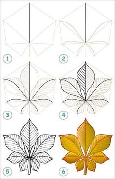 step by step instructions on how to draw an autumn leaf with leaves in the background