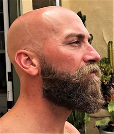 Beard Styles Bald Head, Bald And Bearded Men Style, Bald And Beard, Bald With Beard Men, Bald Bearded Men, Beard Styles For Bald Men