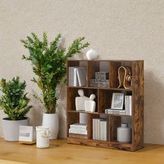 a wooden shelf with books and plants on it