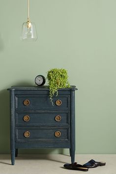 a blue dresser with a green plant on top and a pair of black slippers