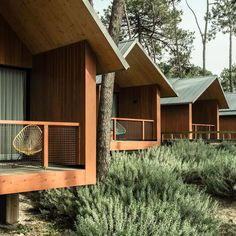 a row of wooden cabins sitting next to each other