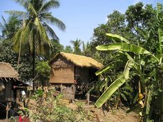 some people are standing in the dirt by some trees and houses with thatched roofs