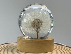 a dandelion in a glass ball sitting on top of a wooden stand