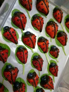 chocolate covered strawberries with leaves and ladybugs on them are ready to be eaten