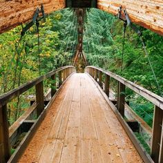 a wooden bridge in the middle of a forest