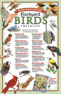 the backyard birds checklist is shown in red and green, with many different kinds of birds