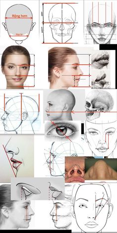 a bunch of different types of faces and their corresponding parts are shown in this diagram