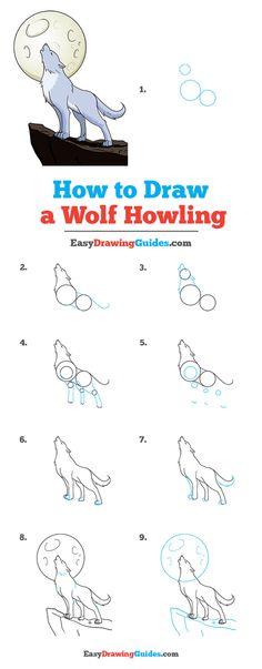 how to draw a wolf howling step - by - step instructions for children and adults