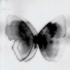 a black and white photo of a butterfly on a sheet of paper with watercolor paint