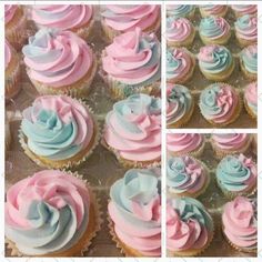 cupcakes with pink, blue and white frosting