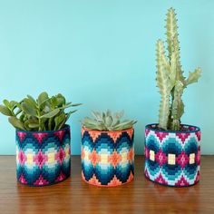 three potted plants sitting on top of a wooden table