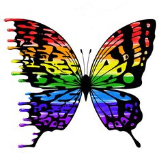 a colorful butterfly painted in rainbow colors