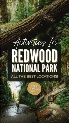 the cover of redwood national park all the best locations