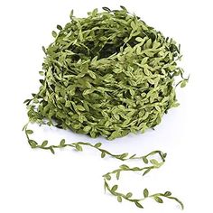 a roll of dried sage leaves on a white background