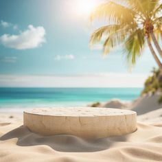 there is a round object in the sand near some palm trees on the ocean shore