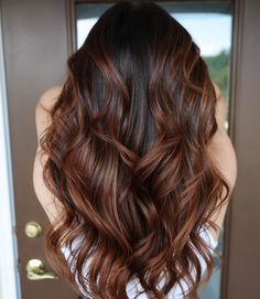 Red Brown Highlights on Black Hair Red Highlights In Brown Hair, Fall Hair Colors Dark, Hair Colors Dark, Copper Brown Hair, Auburn Balayage, Highlights For Dark Brown Hair, Black Hair Balayage, Red Brown Hair, Black Hair With Highlights