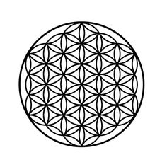 the flower of life symbol is shown in black and white, with an outline effect