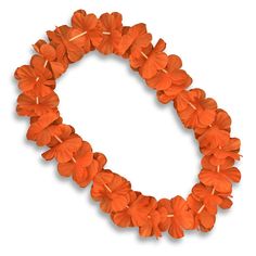 an orange flower lei is arranged in the shape of a letter o on a white background