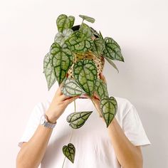 a person covering their face with a plant