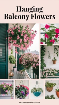 hanging balcony flowers with pink and purple flowers in pots on the side of a building