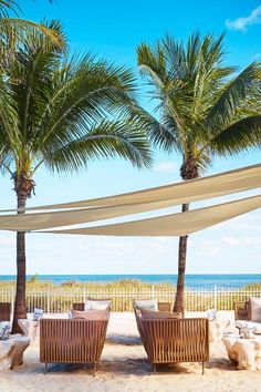 an outdoor seating area with palm trees and the ocean in the background