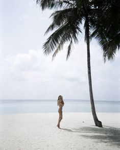 a woman standing on top of a sandy beach next to a palm tree