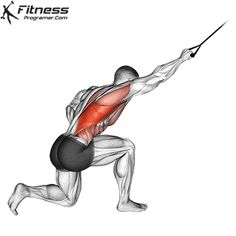 an image of a man doing squat exercises