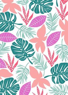 colorful tropical leaves and plants on a white background