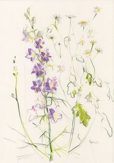 a drawing of some flowers on a white background with green stems and purple ones in the middle