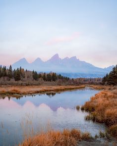 a small lake surrounded by tall grass and trees with mountains in the background at sunset