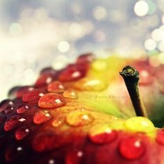 an apple with drops of water on it's side, sitting in front of a blurry background